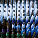 [TIE] JIN SEIRYU RED A | HAKATA TEXTILES| OKANO