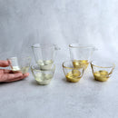 [SAKE BOTTLE] PENETRATION SAKE SET CHAMPAGNE GOLD | HAKUICHI | KANAZAWA GOLD LEAF