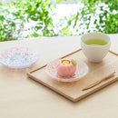 [SMALL DISH (PLATE)] SMALL PLATE GIFT SET (PAIR) | TSUGARU VIDRO| ADERIA