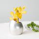 [VASE] แจกัน MAYU COCOON | การคัดเลือกนักแสดง | นูซากุ