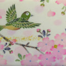 [ART PANEL] CHERRY BLOSSOMS AND MEJIRO / PWS130 | KAGA YUZEN | SOME NO SHIKI