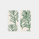 [เครื่องเขียน] ถุงเล็ก ๆ (l) ต้นสนสีขาว (2pieces) | Karakami | Karagen