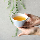 [DISH SETS] HIKE KIDS SET OF 3 (BLUE) | HASAMI WARES| SAIKAI TOKI