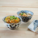 [BOWL SETS] ANTIQUE DYED PICTURE MULTI-PURPOSE PAIR | HASAMI WARES| SAIKAI TOKI