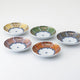 [菜] ko-imari配菜5 | Hasami商品| Saikai Toki
