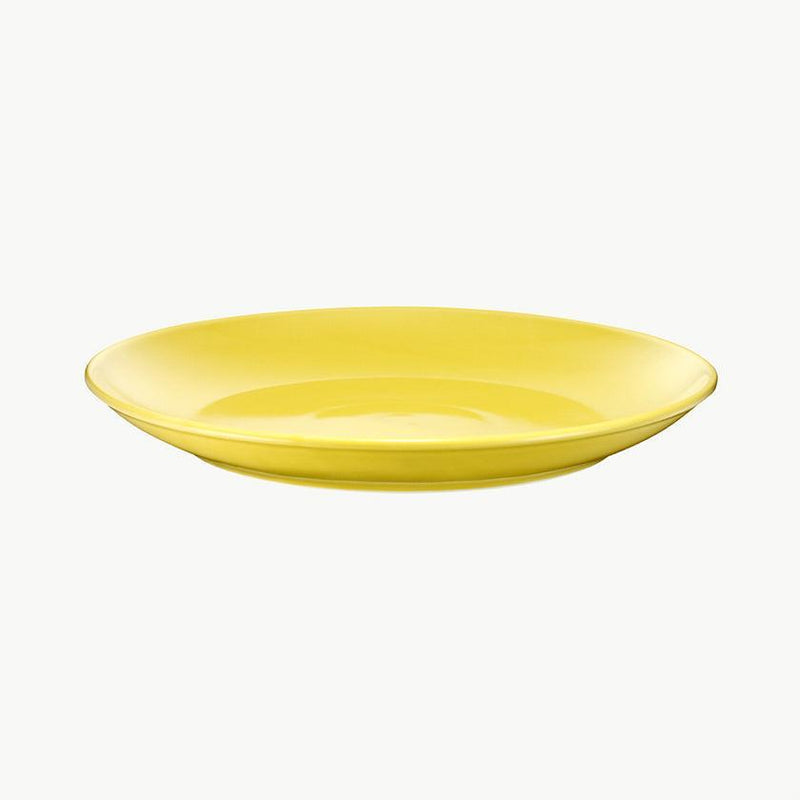 [PLATE] COMMON 27CM | HASAMI WARES| SAIKAI TOKI