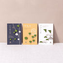 [INCENSE] MATCHA INCENSE KOTOHA-ZEN- | INCENSE| INCENSE KITCHEN