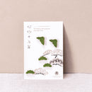 [INCENSE] MATCHA INCENSE KOTOHA-ZEN- | INCENSE| INCENSE KITCHEN
