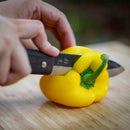 [KNIFE] TAFU 135MM WITH LEATHER CASE & FIRING ROD | NOKAJI BLADES| FUKUBE KAJI