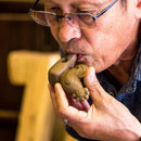 [BECKONING (LUCKY) CAT] CAT'S INVITATION LINES(Multi) | YUMINO DOLL | PEACE CRAFTS SAGA