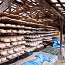 [BECKONING (LUCKY) CAT] CAT'S INVITATION LINES(Multi) | YUMINO DOLL | PEACE CRAFTS SAGA