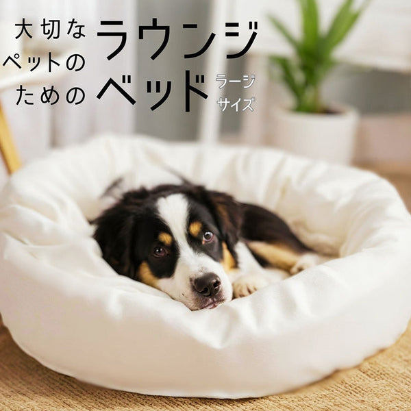 [PET LOUNGE BED] BED FOR YOUR PRECIOUS PET MEDIUM SIZE DOGS (L) | ORGANIC PRODUCTS | AVVERA