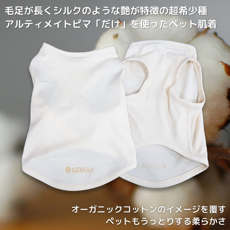 [PET UNDERWEAR] SIMPLE UNDERWEAR FOR YOUR PRECIOUS PET Ultimate Pima® (C) | ORGANIC PRODUCTS | AVVERA