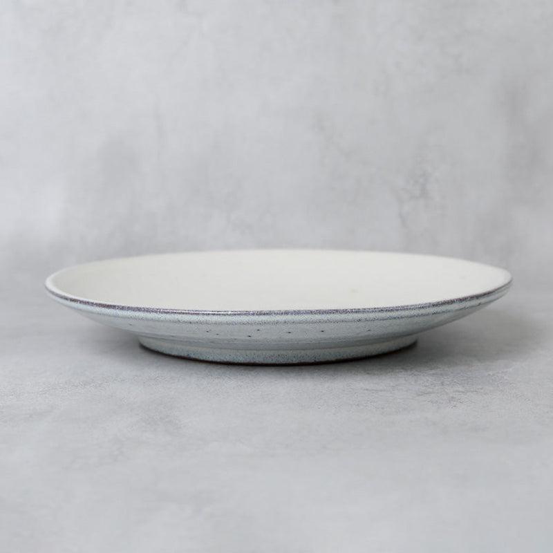 [LARGE PLATE (PLATTER)] GLASS GLAZE | TANBA WARE | SHINSUIGAMA