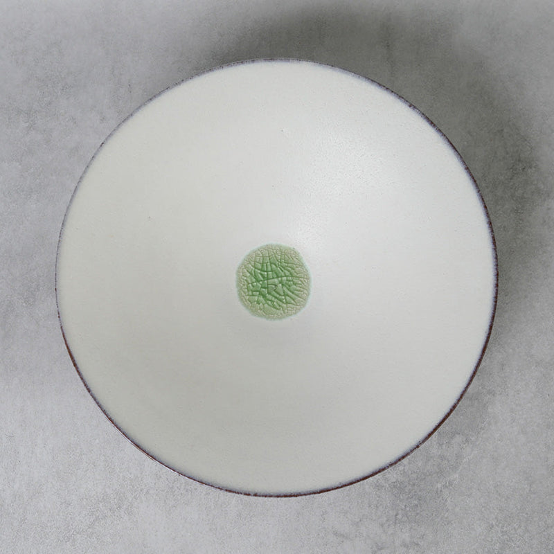 [LARGE BOWL] GLASS GLAZE | TANBA WARE | SHINSUIGAMA