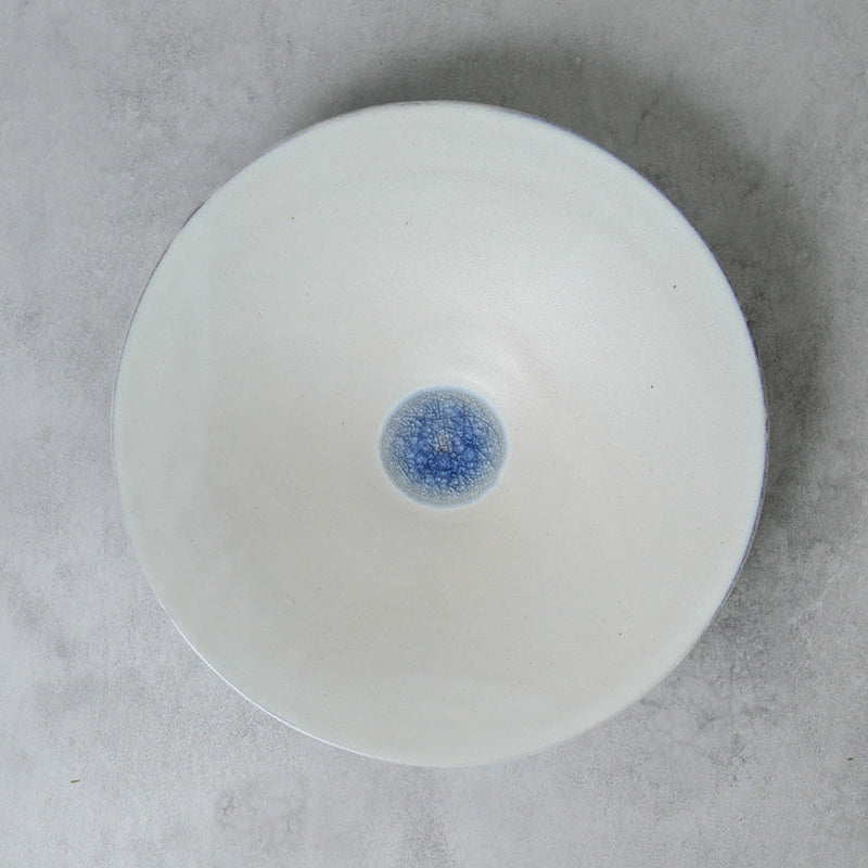 [LARGE BOWL] GLASS GLAZE | TANBA WARE | SHINSUIGAMA