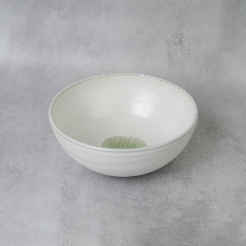 [LARGE BOWL] GLASS GLAZE RICE BOWL | TANBA WARE | SHINSUIGAMA