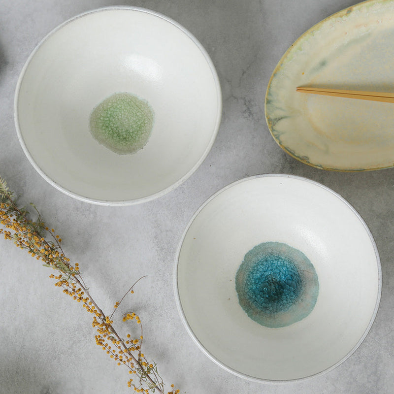 [LARGE BOWL] GLASS GLAZE RICE BOWL | TANBA WARE | SHINSUIGAMA