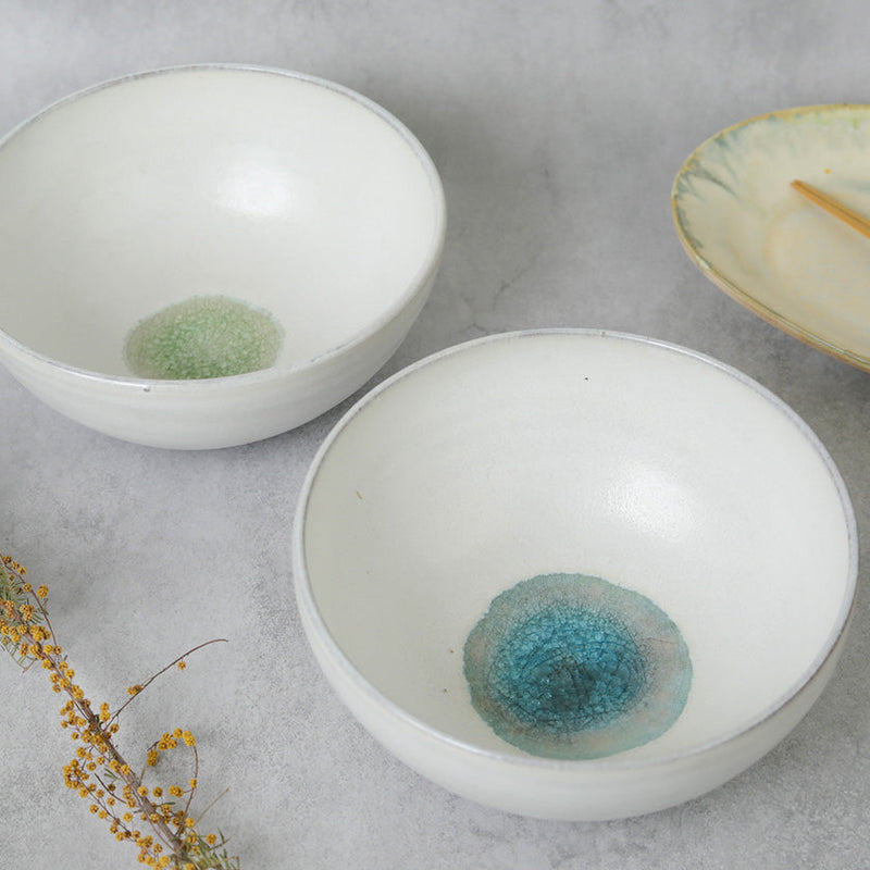 [LARGE BOWL] GLASS GLAZE RICE BOWL | TANBA WARE | SHINSUIGAMA