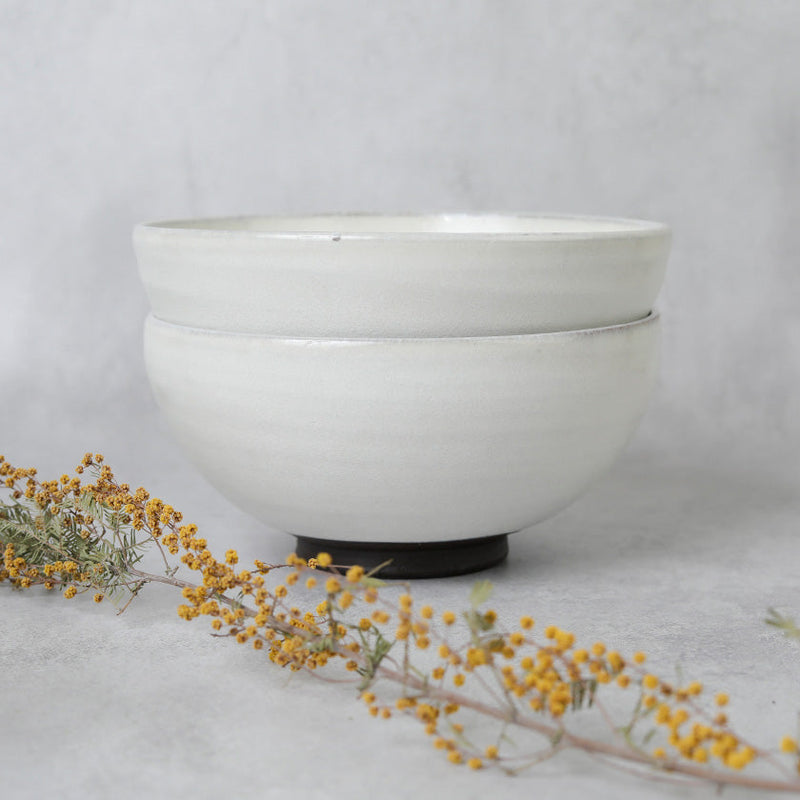 [LARGE BOWL] GLASS GLAZE RICE BOWL | TANBA WARE | SHINSUIGAMA