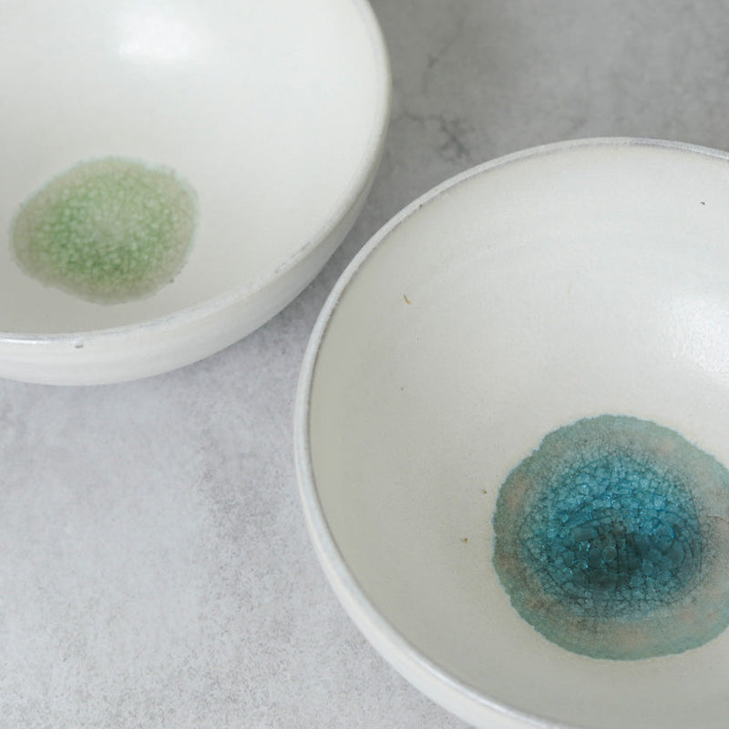 [LARGE BOWL] GLASS GLAZE RICE BOWL | TANBA WARE | SHINSUIGAMA