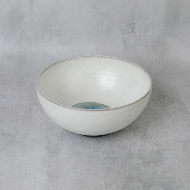 [LARGE BOWL] GLASS GLAZE RICE BOWL | TANBA WARE | SHINSUIGAMA