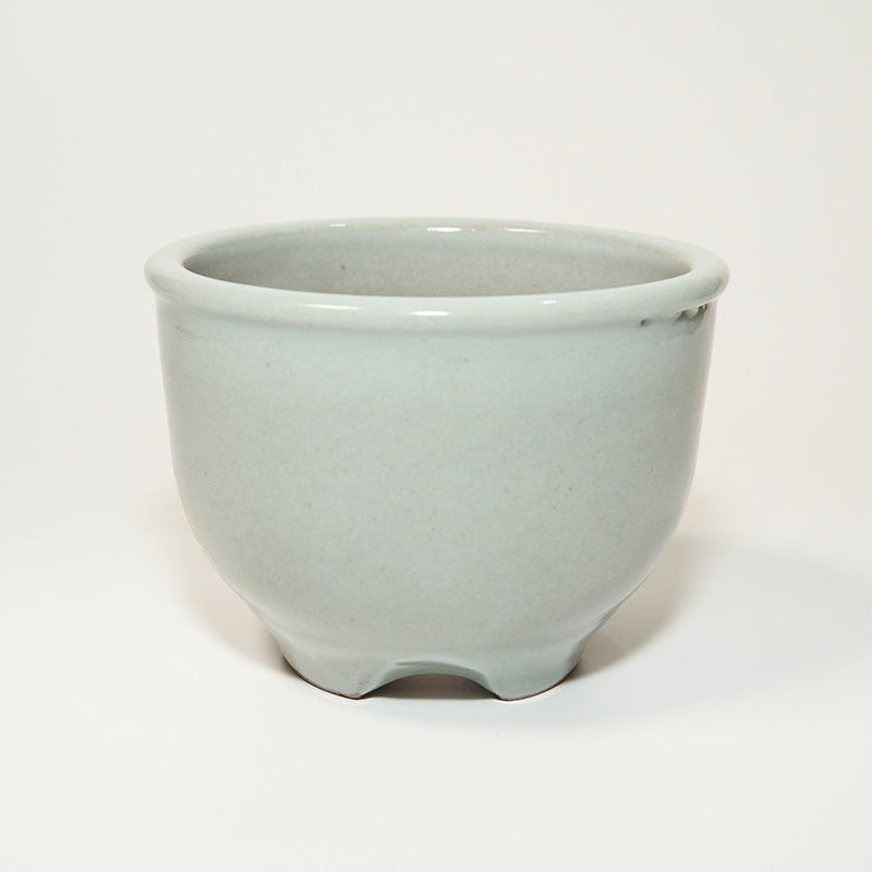 [FLOWERPOT] WHITE | TAMBA TACHIKUI YAKI (POTTERY) | ICHINO DENICHIGAMA