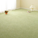 [RUG / CARPET] FLAT-WOVEN RAUMU | TATAMI, CARPET | HAGIHARA