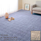 [พรม / พรม] FLAT-WOVEN SHION | ทาทามิ พรม | ฮากิฮาระ