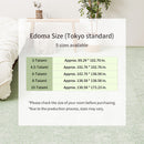 [RUG / CARPET] DEODORIZING AND ANTIBACTERIAL RIKURIA | TATAMI, CARPET | HAGIHARA