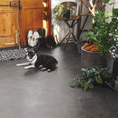 [FLOOR MAT] PET-FRIENDLY CUSHION FLOOR | TATAMI, CARPET | HAGIHARA