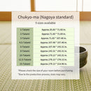 [พรม / พรม] ผ้าซักได้ IGUSA (สไตล์ IGUSA) RAIAN | ทาทามิ พรม | ฮากิฮาระ