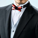 [TIE] BOW TIE AGRIAS CLAUDINA | METAL BUTTERFLY | SHEET METAL PROCESSING