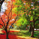 [VASE] SUNFLOWER BASIN | TSUGARU VIDRO| ADERIA