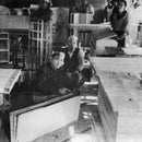 [FOLDING SCREEN (ROOM DIVIDER)] ULTRA SEVEN SHOCHIKUUME FOLDING SCREEN (WITH RIM) | FOLDING SCREENS (ROOM DIVIDER)