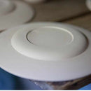 [LARGE PLATE (PLATTER)] PAULINE DELTOUR PLATE (CELADON) | 2016/ | IMARI-ARITA WARES