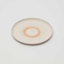 [LARGE PLATE (PLATTER)] KIRSTIE VAN NOORT PLATE 210 (SPRAY COLOR) | 2016/ | IMARI-ARITA WARES