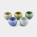 [MUG (CUP)] FLOWER CRYSTAL TEA BOWL (5-PIECE SET) | TOUAN | KYOTO-KIYOMIZU WARES