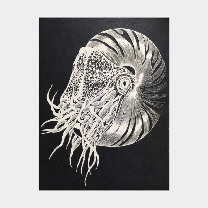 [WALL DECOR (WALL ART)] KIRIKEN NAUTILUS | MASAYO FUKUDA | CUTOUT