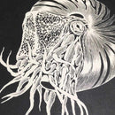 [WALL DECOR (WALL ART)] KIRIKEN NAUTILUS | MASAYO FUKUDA | CUTOUT