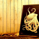 [WALL DECOR (WALL ART)] KIRIKEN SEA OCTOPUS | MASAYO FUKUDA | CUTOUT