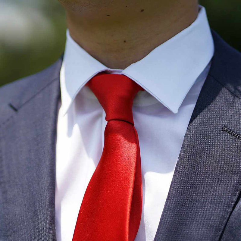 [TIE] SCARLET MIYAVI 33 MOMME SILK SATIN | GUNNAI TEXTILES| FUJI SAKURA