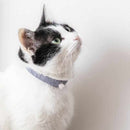 [PET SUPPLY] CAT NECKLACE & EARRINGS SET GINKAKU | NAKANO ISUKE | KYOTO BUDDHIST BEADS