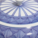 [TEA POT] KYUSU HIRADO-JYUSSO | MIKAWACHI WARE | HIRADOSHOUZAN