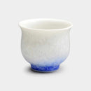 [SAKE BOTTLE] FLOWER CRYSTAL (BLUE ON WHITE) SAKE SET (3-PIECE SET) | TOUAN | KYOTO-KIYOMIZU WARES