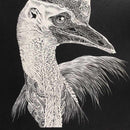 [WALL DECOR (WALL ART)] KIRIKEN BIRD QUEEN (CASSOWARY) | MASAYO FUKUDA | CUTOUT