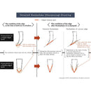 [KITCHEN (CHEF) KNIFE]  HONBA-ZUKE | SAKAI FORGED BLADES