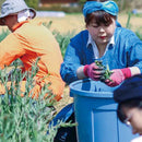 [SCARF] HAND-DYED STALL WITH NATURAL PASTELS | INDIGO DYEING| INDIGO KESENNUMA