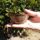 [SAKE CUP]  GUINOMI WOODEN SAKE CUP 2-PIECE SET | NIIGATA LACQUERWARE