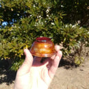 [SAKE CUP] OCHOKO / GUINOMI (NATURAL) | KOBAYASHI BUDDHIST ALTAR | NIIGATA LACQUERWARE